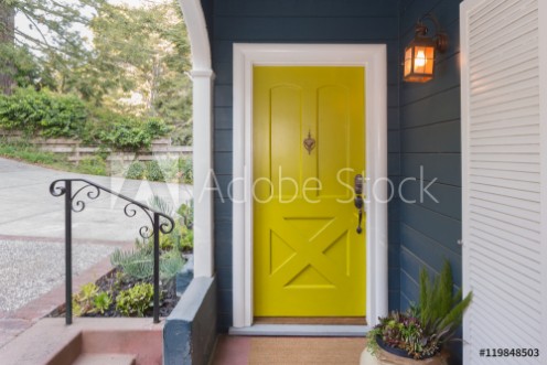 Picture of Yellow Green Entry Door  Front Door with single cylinder entran